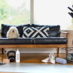 home and lifestyle essentials